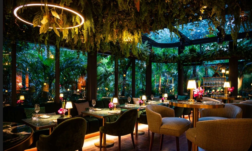 What Makes a Restaurant Ideal for Special Occasions Unlike a Generic